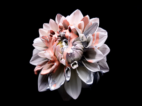 Sydney Motion Advertising Director Vicki Lee for Dahlia