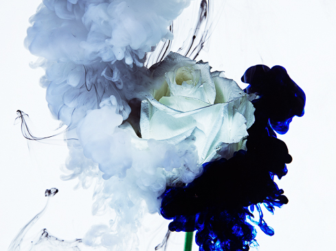 Sydney Still Life Photographer Vicki Lee Deluge series