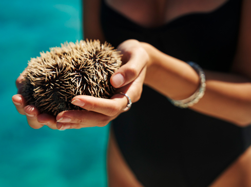 Sydney Fashion Photographer Ted O