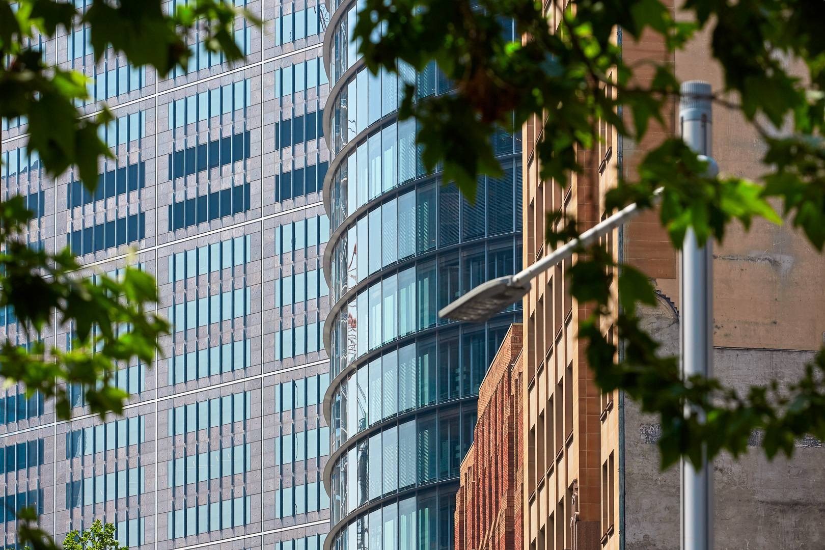 Dexus photographed by Romello Pereira