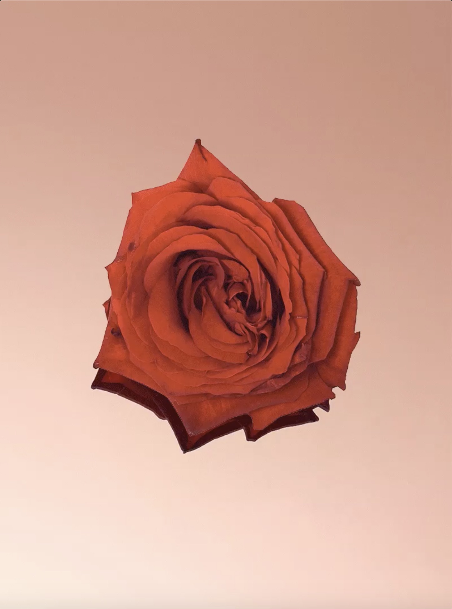 Motion Director Jouk Oosterhof Valentijn series