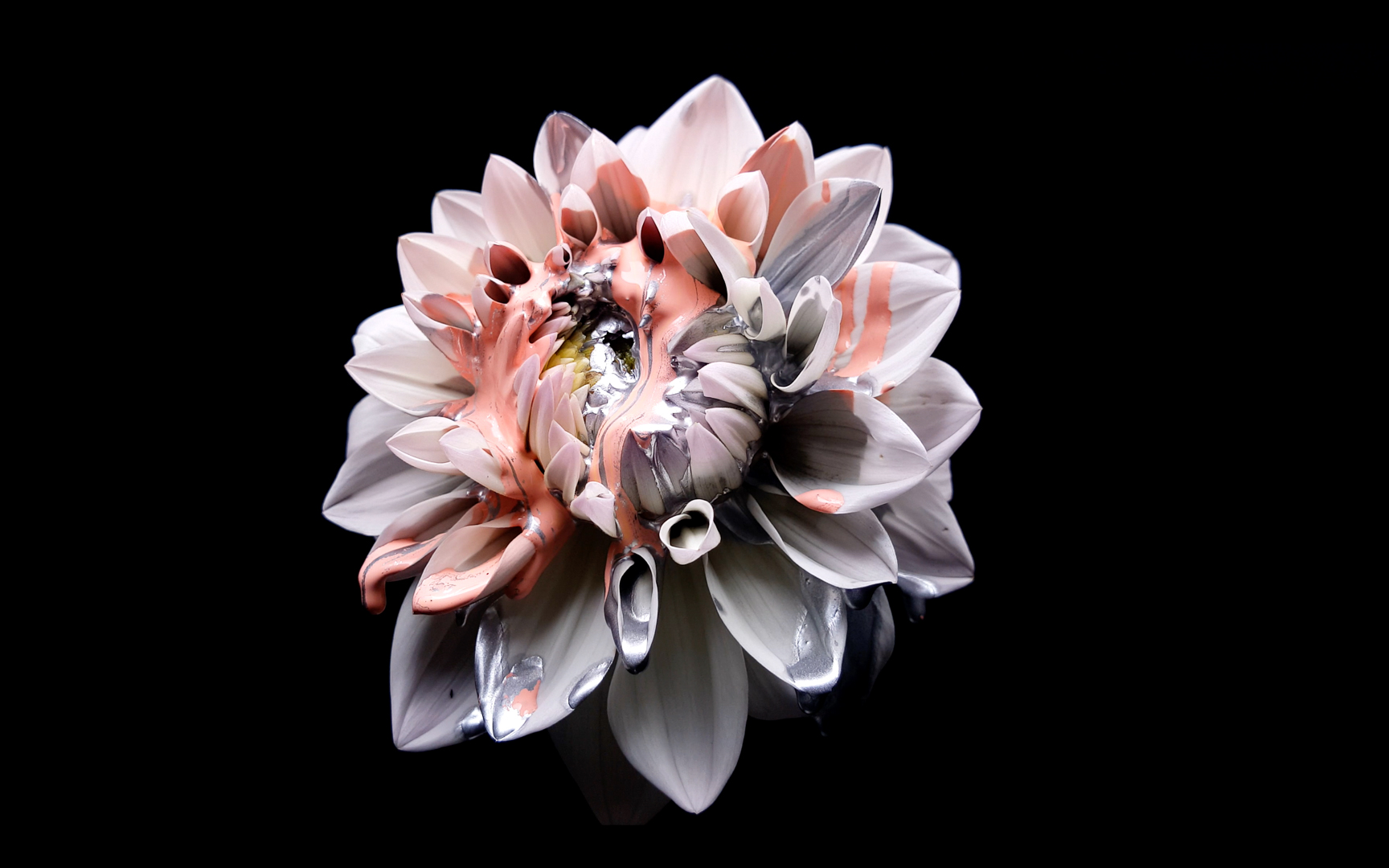 Sydney Motion Advertising Director Vicki Lee for Dahlia