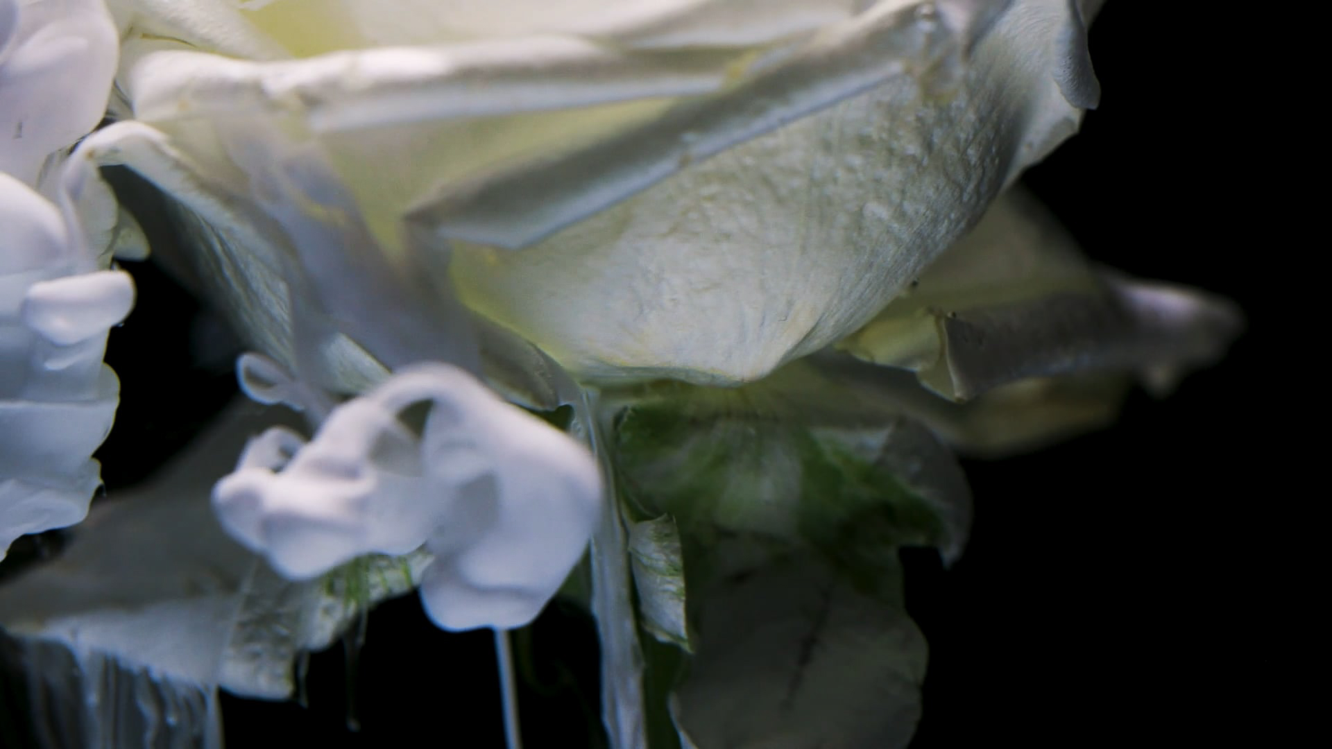 Sydney Motion Advertising Director Vicki Lee for Rasavada