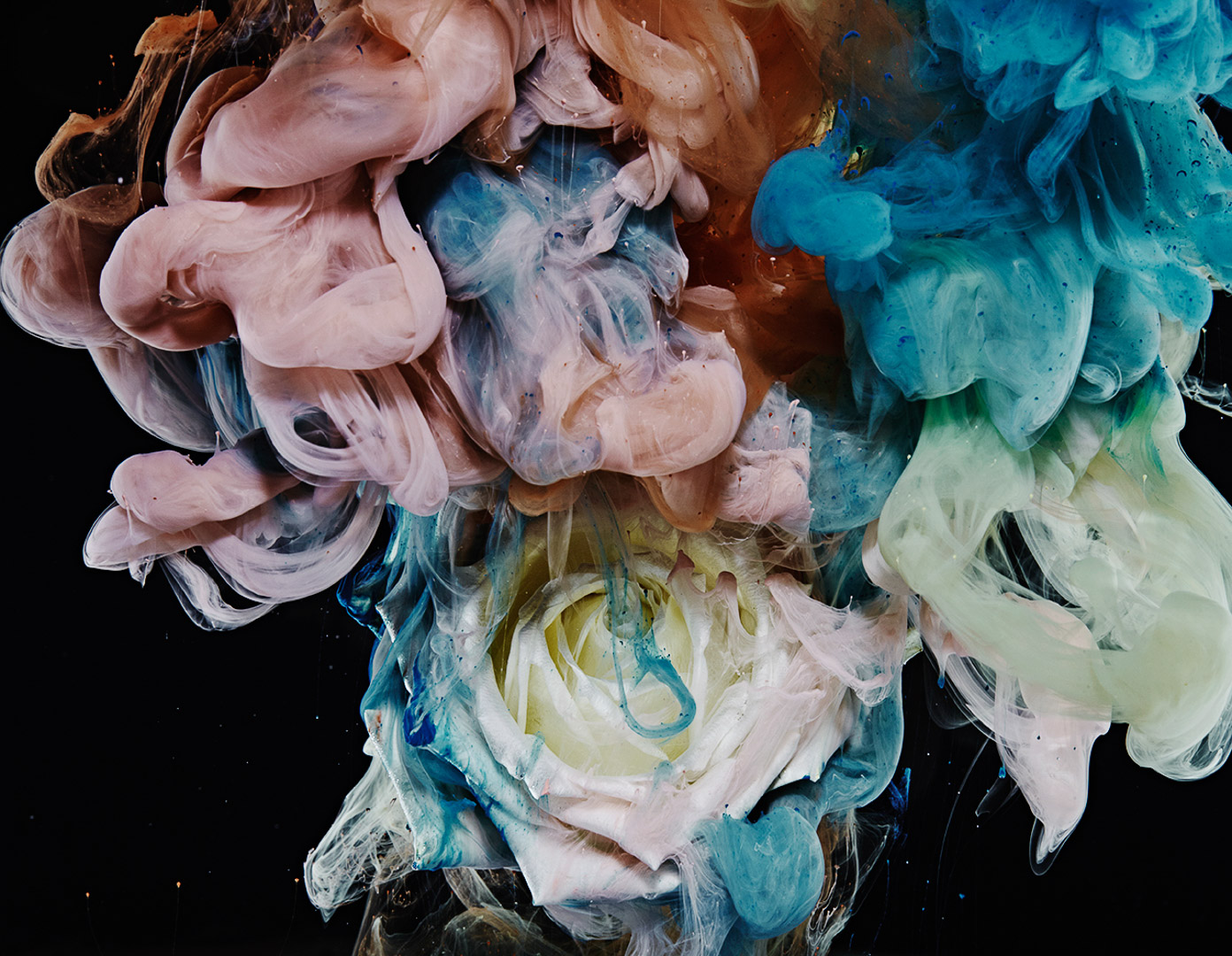 Sydney Still Life Photographer Vicki Lee Deluge series