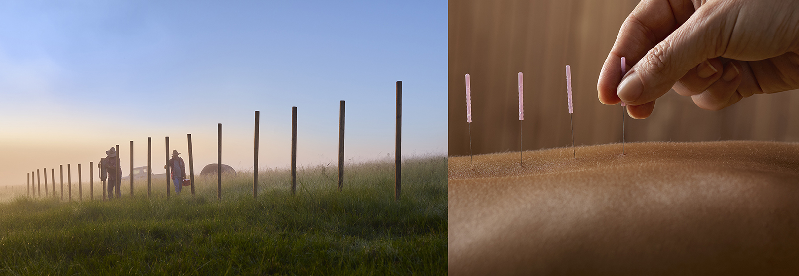 nab commercial photography by Chris Budgeon