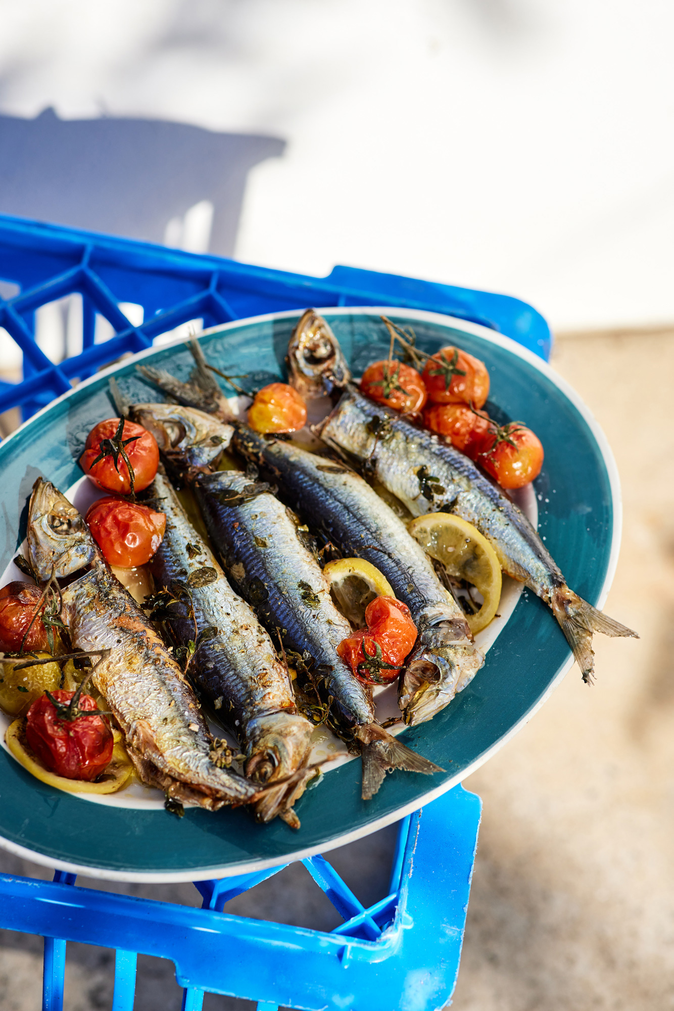 OPA! Recipes Inspired by Greek Tavernas