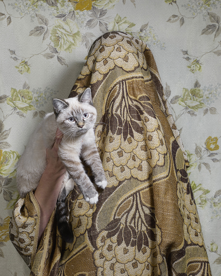 Hidden Parents by Jouk Oosterhof